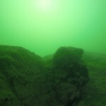 Bodenformation