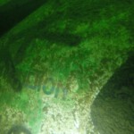 Autowrack Aurich Tannenhausen